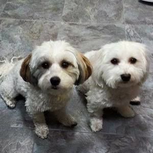 Meet your Posher, Kathleen